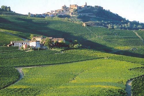 Cascina Rocca - Guest House Castiglione Falletto Kültér fotó